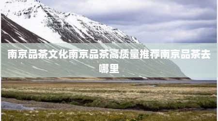 南京品茶文化南京品茶高质量推荐南京品茶去哪里