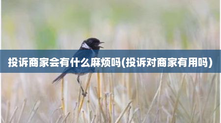 投诉商家会有什么麻烦吗(投诉对商家有用吗)