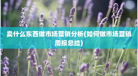 卖什么东西做市场营销分析(如何做市场营销周报总结)