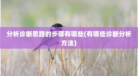 分析诊断思路的步骤有哪些(有哪些诊断分析方法)