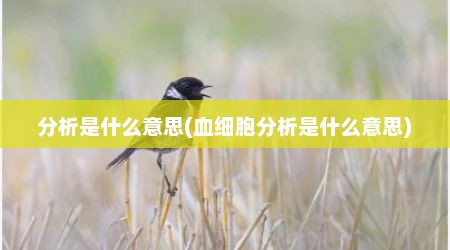 分析是什么意思(血细胞分析是什么意思)