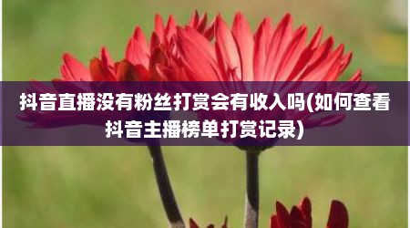 抖音直播没有粉丝打赏会有收入吗(如何查看抖音主播榜单打赏记录)