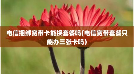 电信捆绑宽带卡能换套餐吗(电信宽带套餐只能办三张卡吗)