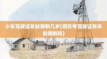 小车驾驶证年龄限制几岁(现在考驾驶证有年龄限制吗)
