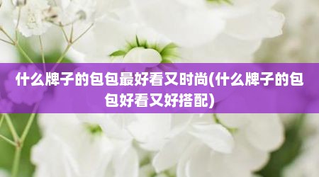 什么牌子的包包最好看又时尚(什么牌子的包包好看又好搭配)