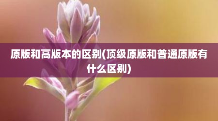 原版和高版本的区别(顶级原版和普通原版有什么区别)