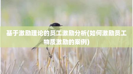 基于激励理论的员工激励分析(如何激励员工物质激励的案例)