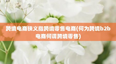跨境电商狭义指跨境零售电商(何为跨境b2b电商何谓跨境零售)