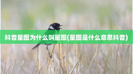 抖音星图为什么叫星图(星图是什么意思抖音)