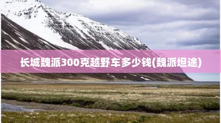 长城魏派300克越野车多少钱(魏派坦途)