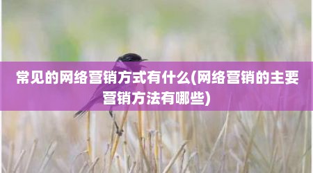 常见的网络营销方式有什么(网络营销的主要营销方法有哪些)