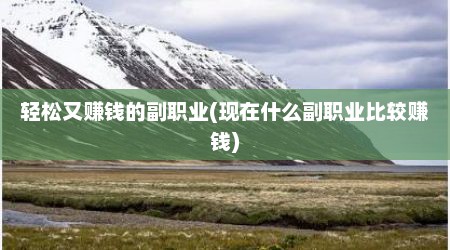 轻松又赚钱的副职业(现在什么副职业比较赚钱)