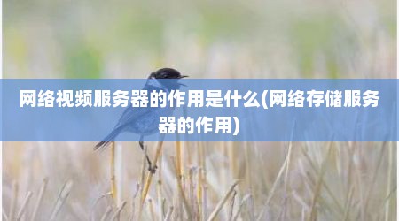 网络视频服务器的作用是什么(网络存储服务器的作用)