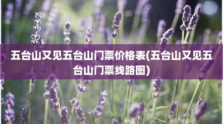 五台山又见五台山门票价格表(五台山又见五台山门票线路图)