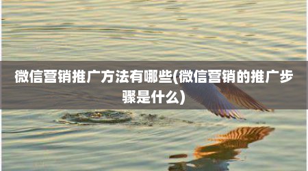 微信营销推广方法有哪些(微信营销的推广步骤是什么)