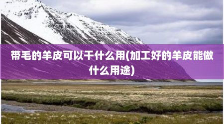 带毛的羊皮可以干什么用(加工好的羊皮能做什么用途)