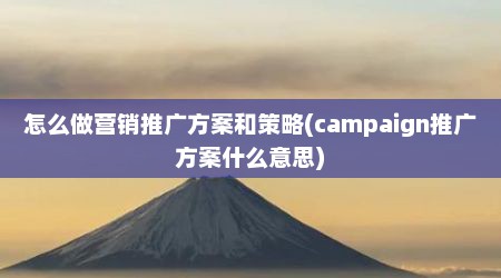 怎么做营销推广方案和策略(campaign推广方案什么意思)