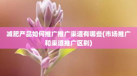 减肥产品如何推广推广渠道有哪些(市场推广和渠道推广区别)