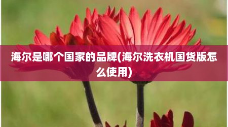 海尔是哪个国家的品牌(海尔洗衣机国货版怎么使用)