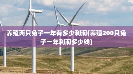 养殖两只兔子一年有多少利润(养殖200只兔子一年利润多少钱)