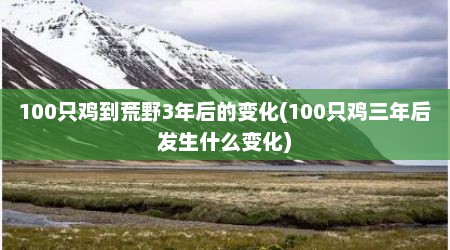100只鸡到荒野3年后的变化(100只鸡三年后发生什么变化)