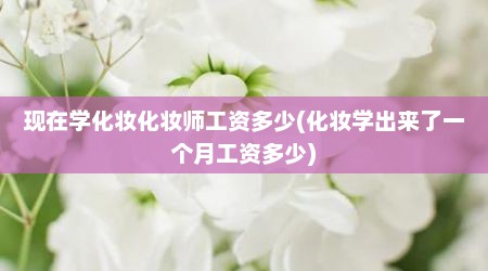 现在学化妆化妆师工资多少(化妆学出来了一个月工资多少)