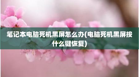 笔记本电脑死机黑屏怎么办(电脑死机黑屏按什么键恢复)