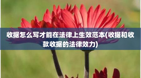 收据怎么写才能在法律上生效范本(收据和收款收据的法律效力)