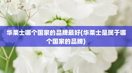 华莱士哪个国家的品牌最好(华莱士是属于哪个国家的品牌)