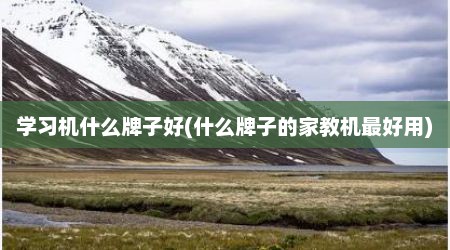 学习机什么牌子好(什么牌子的家教机最好用)