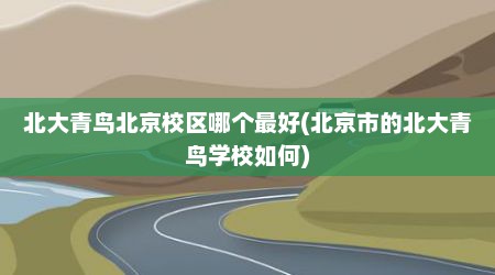 北大青鸟北京校区哪个最好(北京市的北大青鸟学校如何)