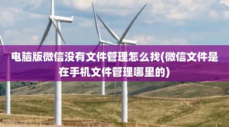 电脑版微信没有文件管理怎么找(微信文件是在手机文件管理哪里的)