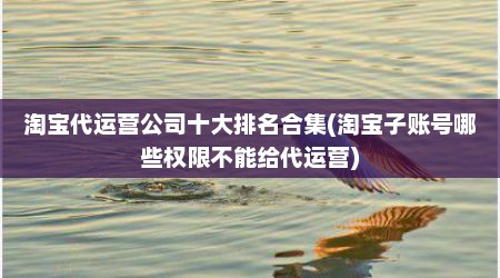 淘宝代运营公司十大排名合集(淘宝子账号哪些权限不能给代运营)