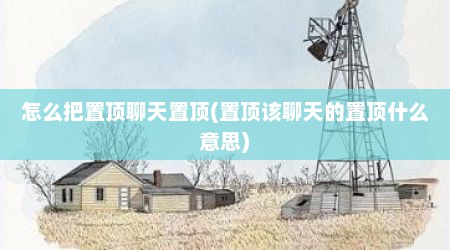 怎么把置顶聊天置顶(置顶该聊天的置顶什么意思)