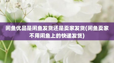 闲鱼优品是闲鱼发货还是卖家发货(闲鱼卖家不用闲鱼上的快递发货)
