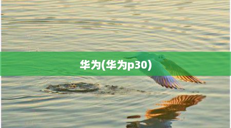 华为(华为p30)