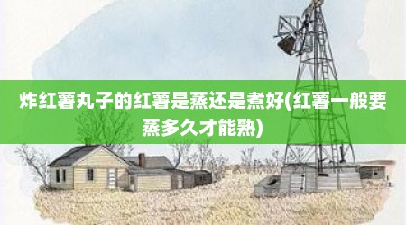 炸红薯丸子的红薯是蒸还是煮好(红薯一般要蒸多久才能熟)