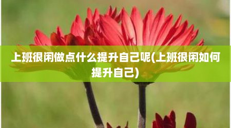 上班很闲做点什么提升自己呢(上班很闲如何提升自己)