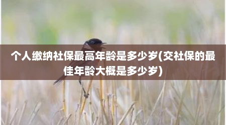 个人缴纳社保最高年龄是多少岁(交社保的最佳年龄大概是多少岁)
