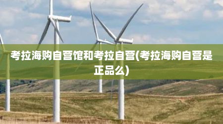 考拉海购自营馆和考拉自营(考拉海购自营是正品么)