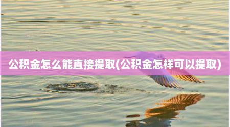 公积金怎么能直接提取(公积金怎样可以提取)