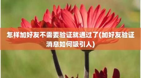 怎样加好友不需要验证就通过了(加好友验证消息如何吸引人)