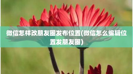 微信怎样改朋友圈发布位置(微信怎么编辑位置发朋友圈)