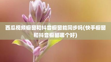 西瓜视频橱窗和抖音橱窗能同步吗(快手橱窗和抖音橱窗哪个好)