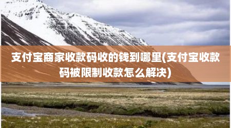 支付宝商家收款码收的钱到哪里(支付宝收款码被限制收款怎么解决)