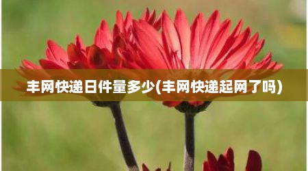 丰网快递日件量多少(丰网快递起网了吗)