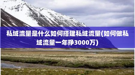 私域流量是什么如何搭建私域流量(如何做私域流量一年挣3000万)