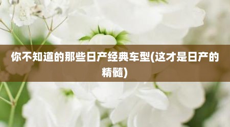 你不知道的那些日产经典车型(这才是日产的精髓)
