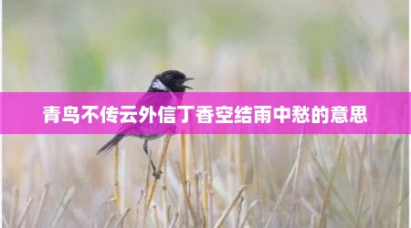 青鸟不传云外信丁香空结雨中愁的意思