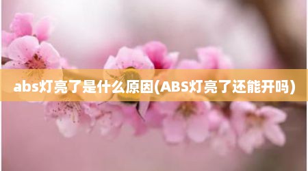 abs灯亮了是什么原因(ABS灯亮了还能开吗)